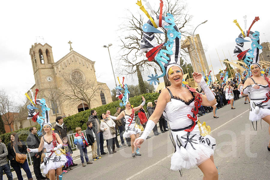 Rua del carnaval de Santa Margarida i els Monjos 2015. Rua del Carnaval de Santa Margarida i els Monjos 2015