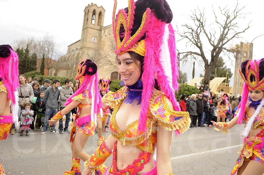 Rua del carnaval de Santa Margarida i els Monjos 2015. Rua del Carnaval de Santa Margarida i els Monjos 2015