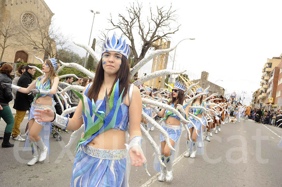 Rua del carnaval de Santa Margarida i els Monjos 2015. Rua del Carnaval de Santa Margarida i els Monjos 2015