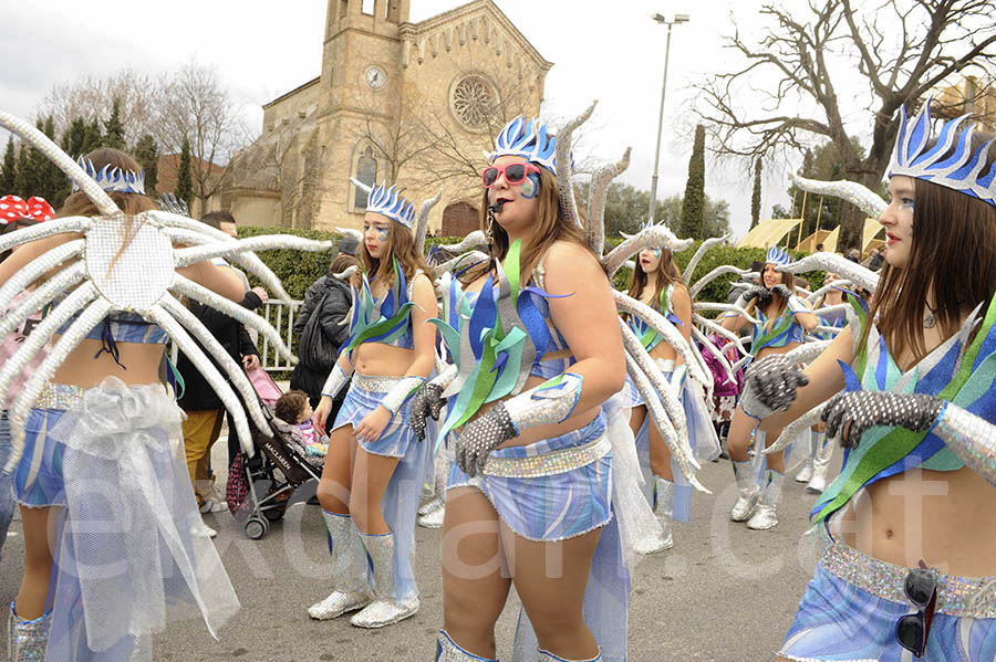 Rua del carnaval de Santa Margarida i els Monjos 2015. Rua del Carnaval de Santa Margarida i els Monjos 2015