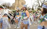 Rua del carnaval de Santa Margarida i els Monjos 2015