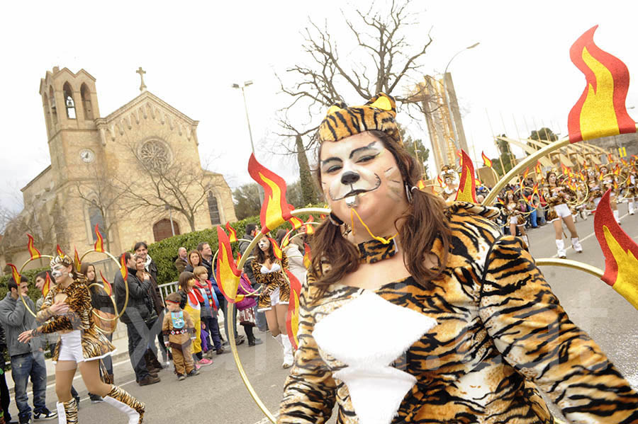 Rua del carnaval de Santa Margarida i els Monjos 2015. Rua del Carnaval de Santa Margarida i els Monjos 2015