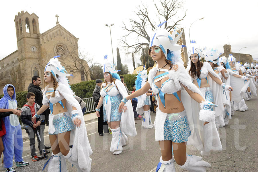 Rua del carnaval de Santa Margarida i els Monjos 2015. Rua del Carnaval de Santa Margarida i els Monjos 2015