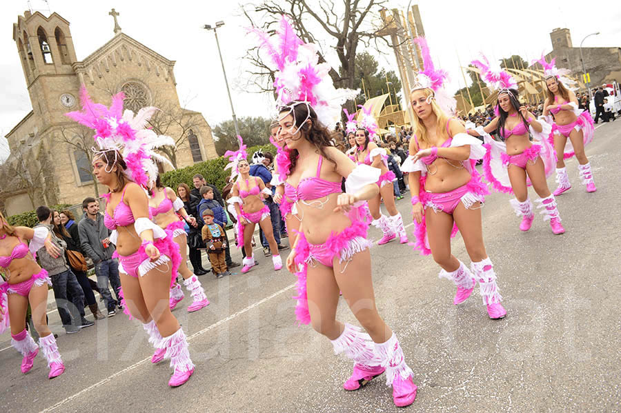 Rua del carnaval de Santa Margarida i els Monjos 2015. Rua del Carnaval de Santa Margarida i els Monjos 2015