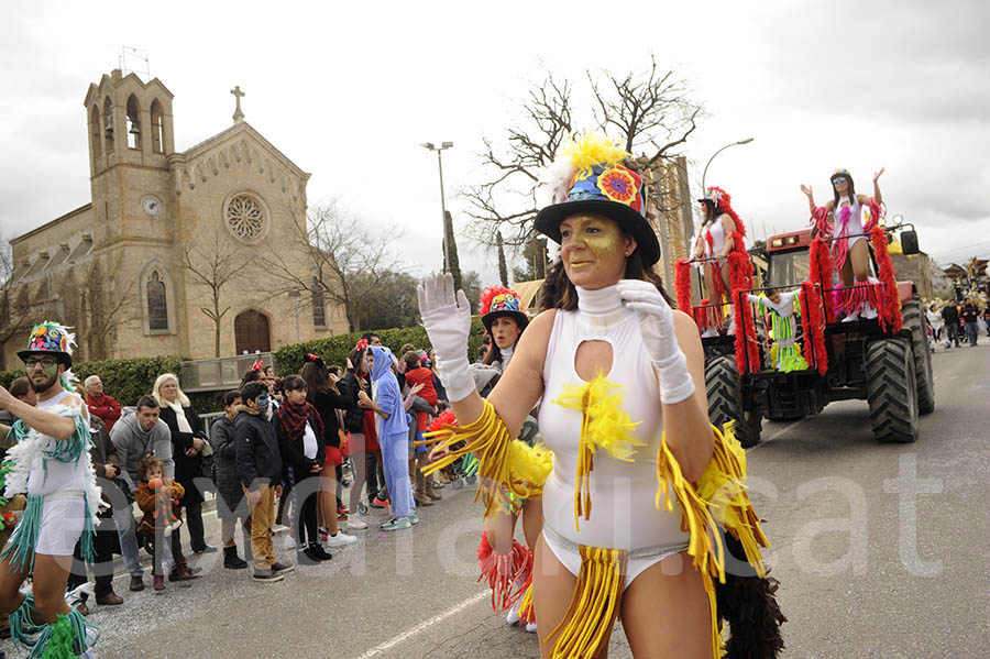 Rua del carnaval de Santa Margarida i els Monjos 2015. Rua del Carnaval de Santa Margarida i els Monjos 2015