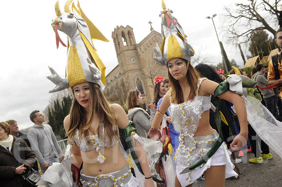 Rua del carnaval de Santa Margarida i els Monjos 2015. Rua del Carnaval de Santa Margarida i els Monjos 2015