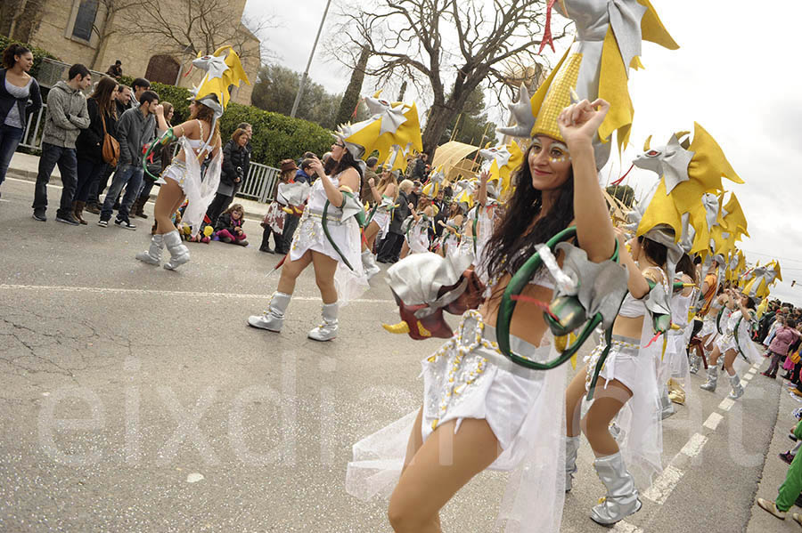 Rua del carnaval de Santa Margarida i els Monjos 2015. Rua del Carnaval de Santa Margarida i els Monjos 2015