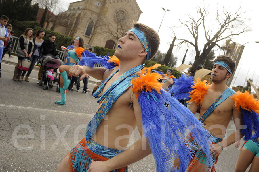 Rua del carnaval de Santa Margarida i els Monjos 2015. Rua del Carnaval de Santa Margarida i els Monjos 2015