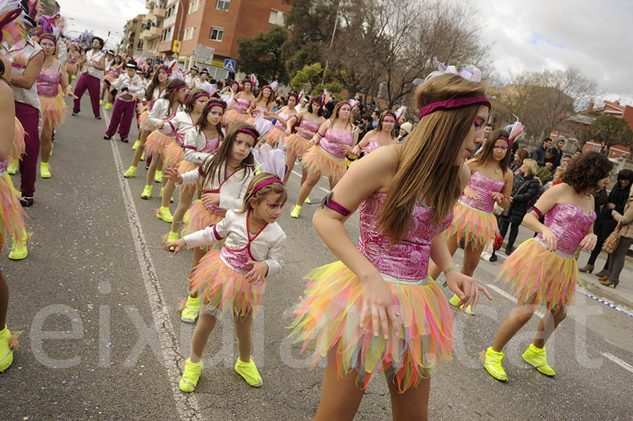 Rua del carnaval de Santa Margarida i els Monjos 2015. Rua del Carnaval de Santa Margarida i els Monjos 2015