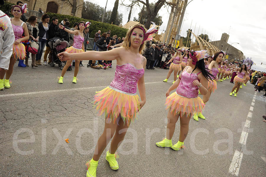 Rua del carnaval de Santa Margarida i els Monjos 2015. Rua del Carnaval de Santa Margarida i els Monjos 2015