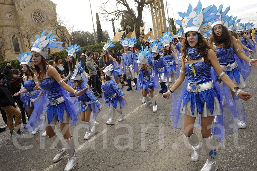 Rua del carnaval de Santa Margarida i els Monjos 2015. Rua del Carnaval de Santa Margarida i els Monjos 2015