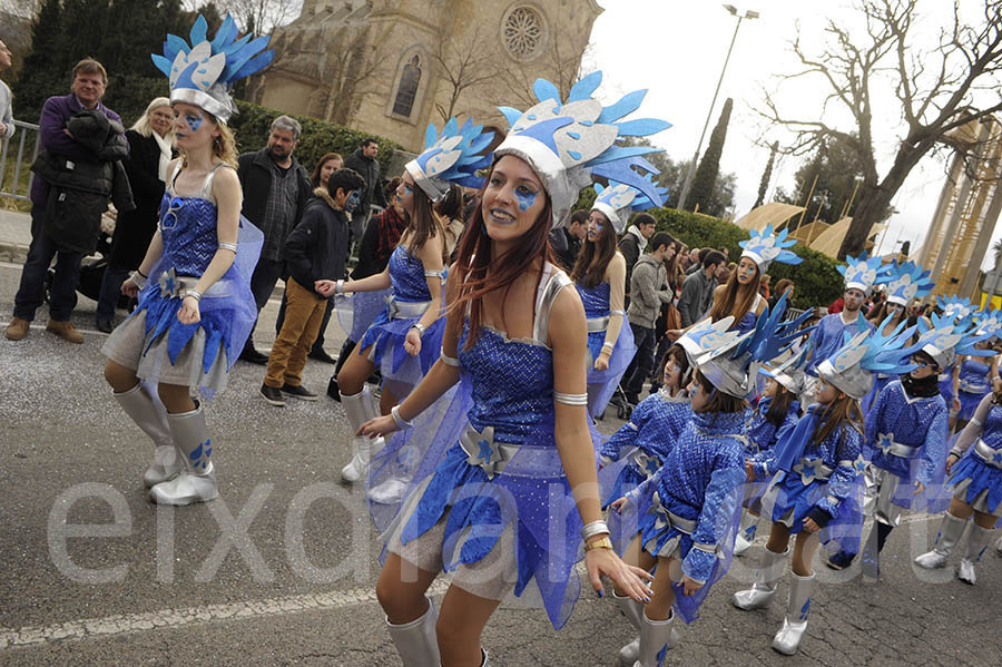 Rua del carnaval de Santa Margarida i els Monjos 2015. Rua del Carnaval de Santa Margarida i els Monjos 2015