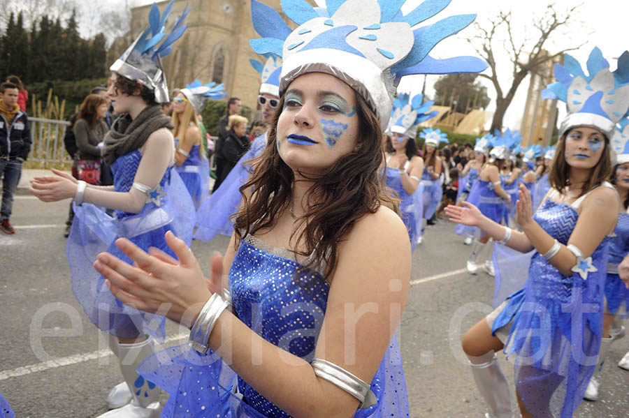 Rua del carnaval de Santa Margarida i els Monjos 2015. Rua del Carnaval de Santa Margarida i els Monjos 2015