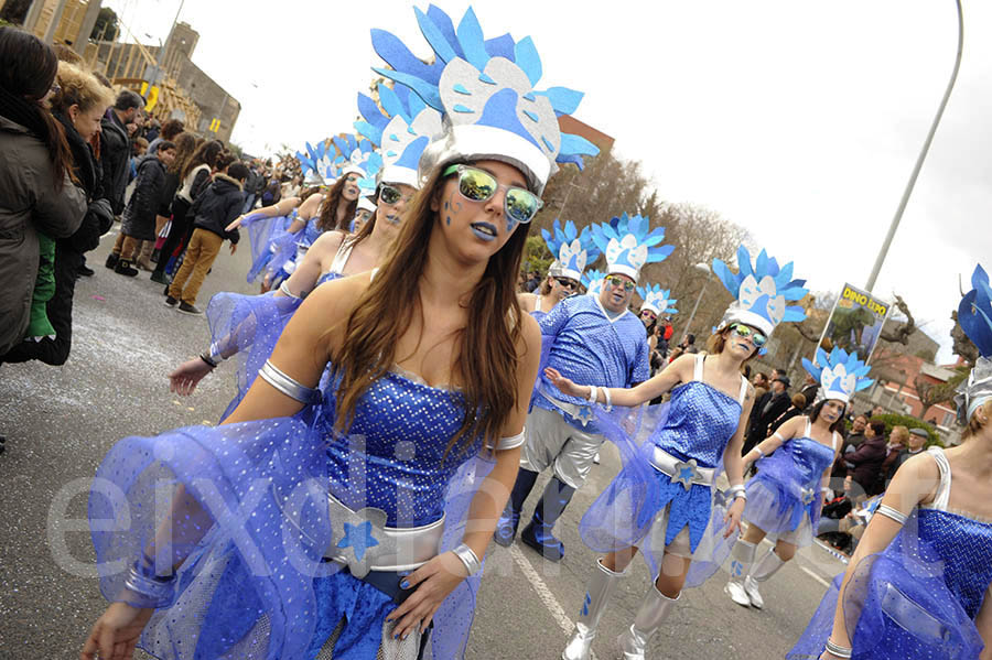 Rua del carnaval de Santa Margarida i els Monjos 2015. Rua del Carnaval de Santa Margarida i els Monjos 2015