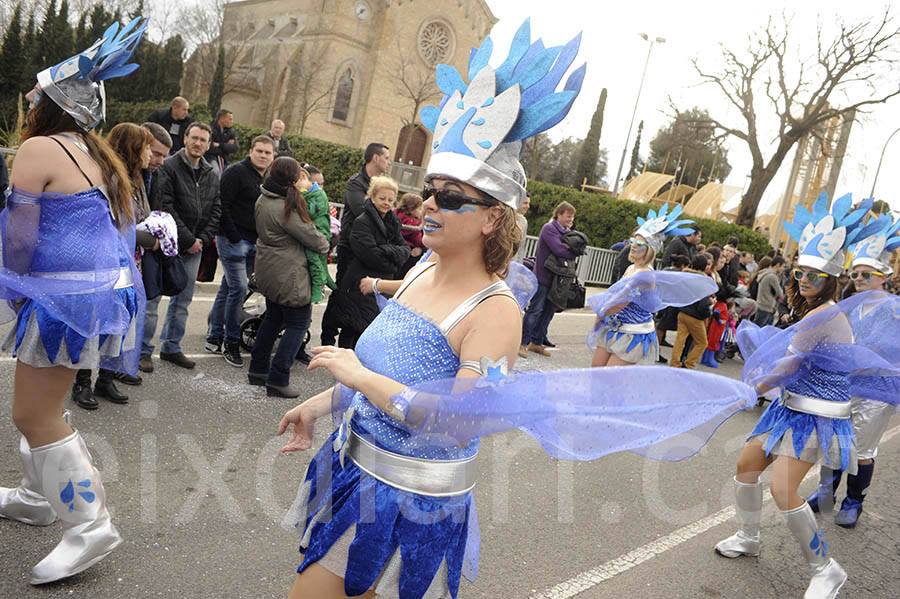 Rua del carnaval de Santa Margarida i els Monjos 2015. Rua del Carnaval de Santa Margarida i els Monjos 2015