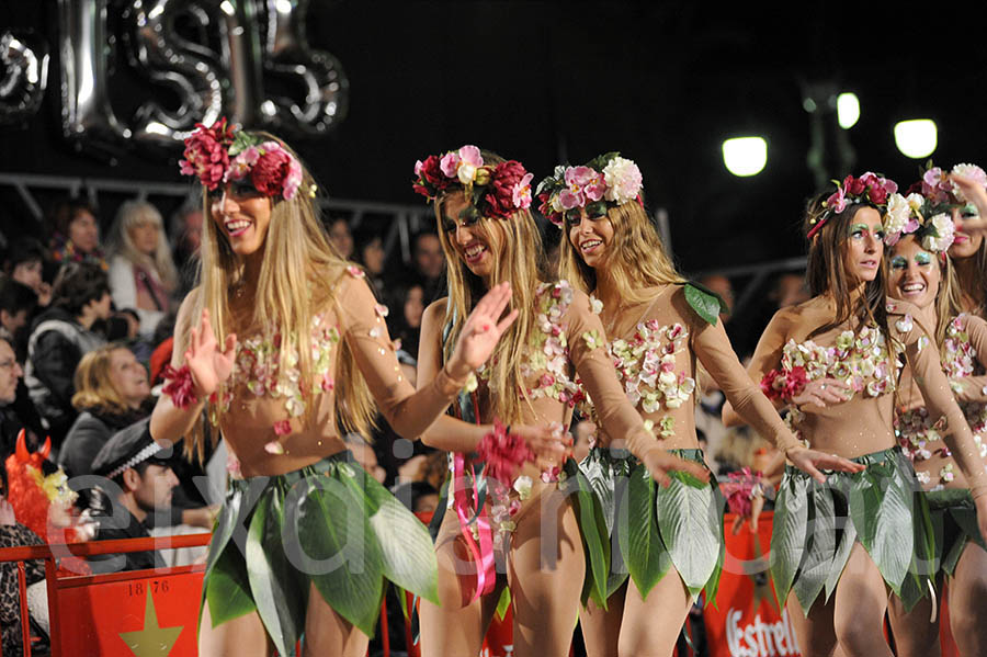 Rua del carnaval de Sitges 2015. Rua del Carnaval de Sitges 2015