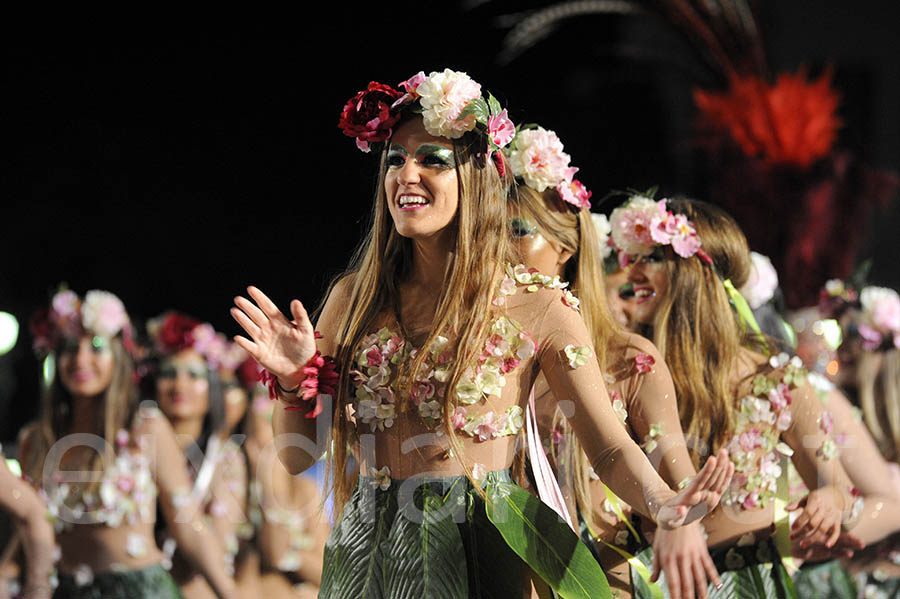 Rua del carnaval de Sitges 2015. Rua del Carnaval de Sitges 2015