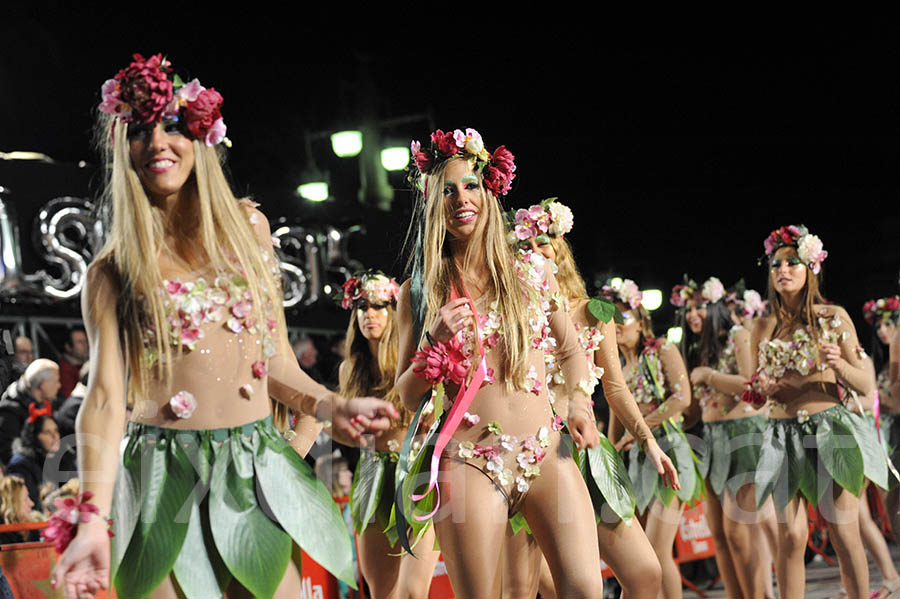 Rua del carnaval de Sitges 2015. Rua del Carnaval de Sitges 2015