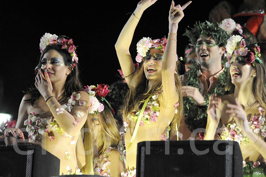 Rua del carnaval de Sitges 2015. Rua del Carnaval de Sitges 2015