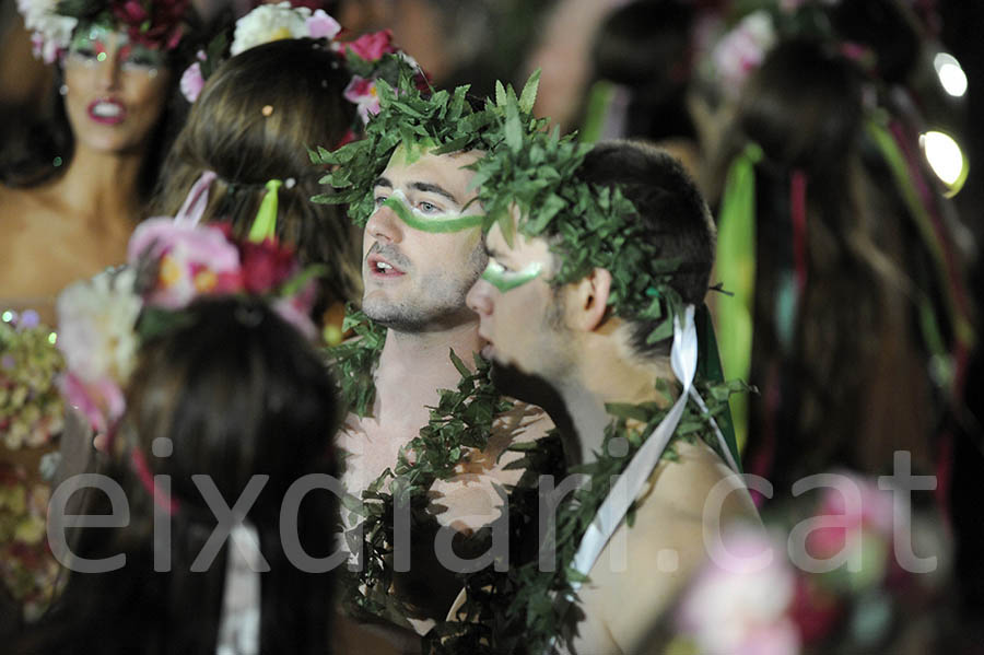 Rua del carnaval de Sitges 2015. Rua del Carnaval de Sitges 2015