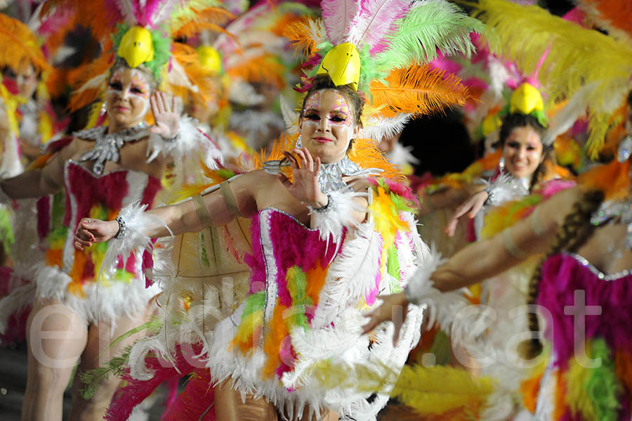 Rua del carnaval de Sitges 2015. Rua del Carnaval de Sitges 2015