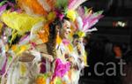 Rua del carnaval de Sitges 2015