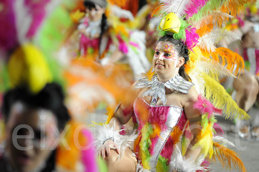 Rua del carnaval de Sitges 2015. Rua del Carnaval de Sitges 2015