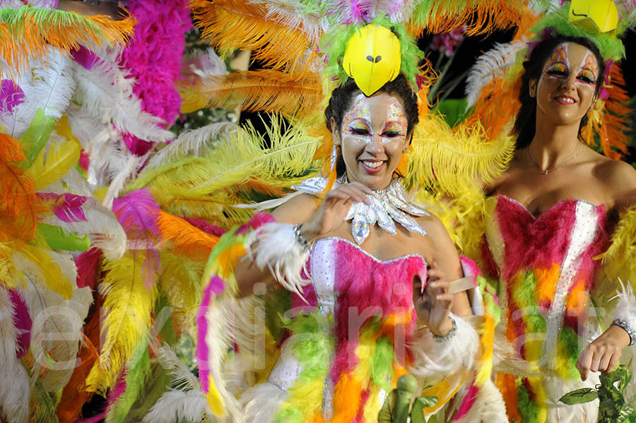 Rua del carnaval de Sitges 2015. Rua del Carnaval de Sitges 2015