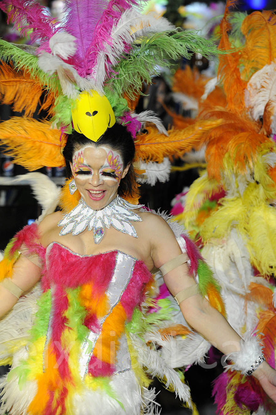 Rua del carnaval de Sitges 2015. Rua del Carnaval de Sitges 2015