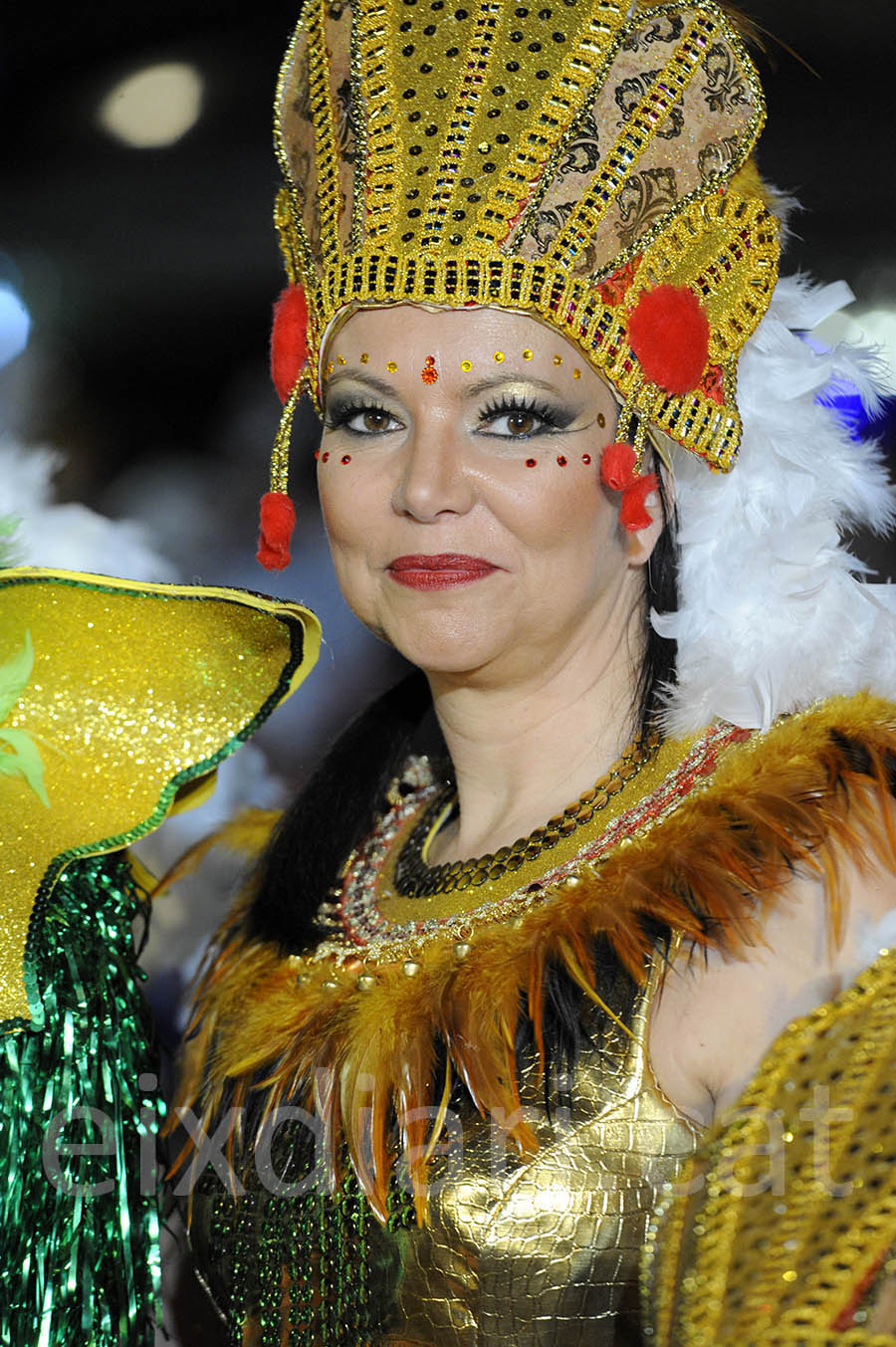 Rua del carnaval de Sitges 2015. Rua del Carnaval de Sitges 2015