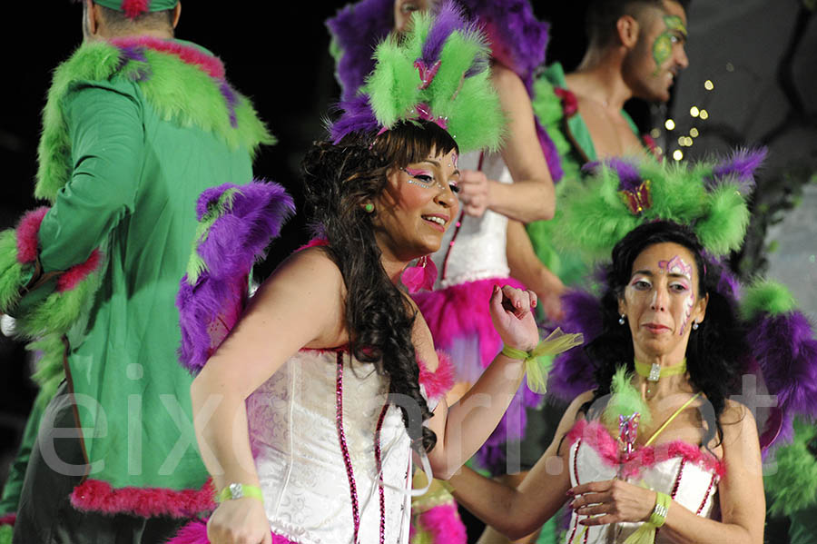 Rua del carnaval de Sitges 2015. Rua del Carnaval de Sitges 2015