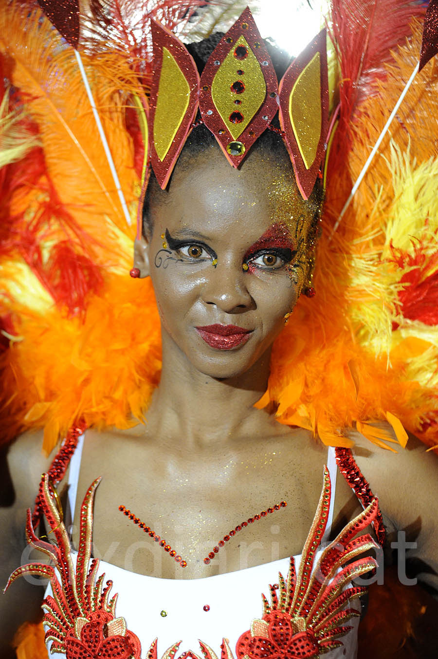 Rua del carnaval de Sitges 2015. Rua del Carnaval de Sitges 2015