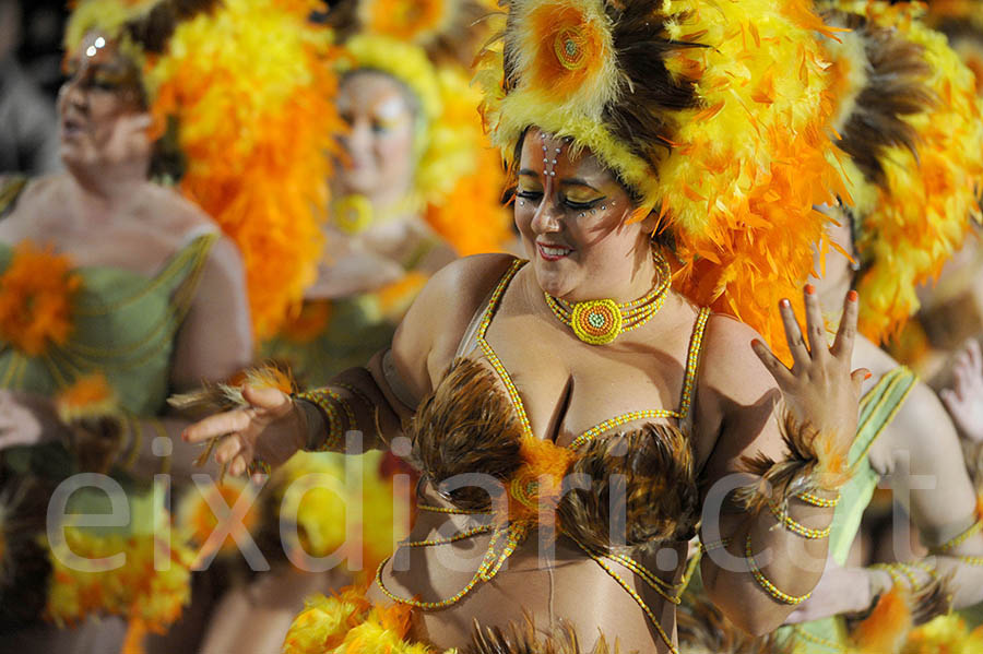 Rua del carnaval de Sitges 2015. Rua del Carnaval de Sitges 2015