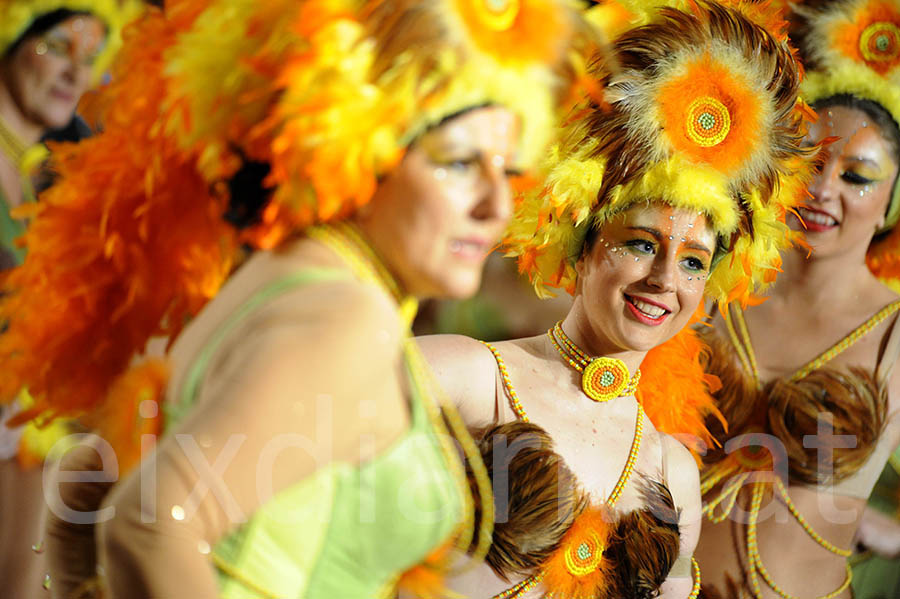 Rua del carnaval de Sitges 2015. Rua del Carnaval de Sitges 2015