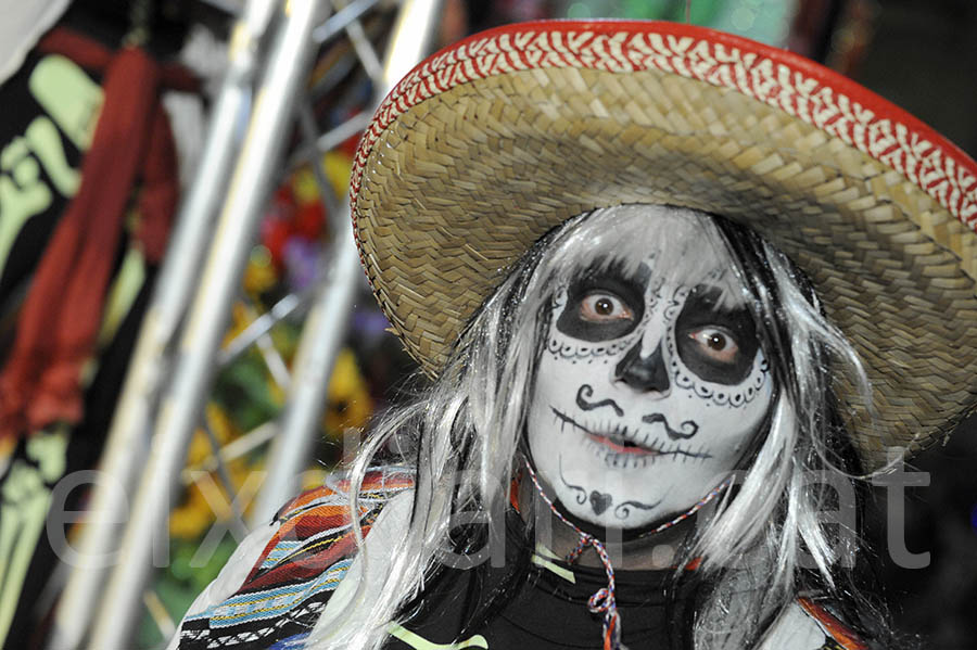 Rua del carnaval de Sitges 2015. Rua del Carnaval de Sitges 2015