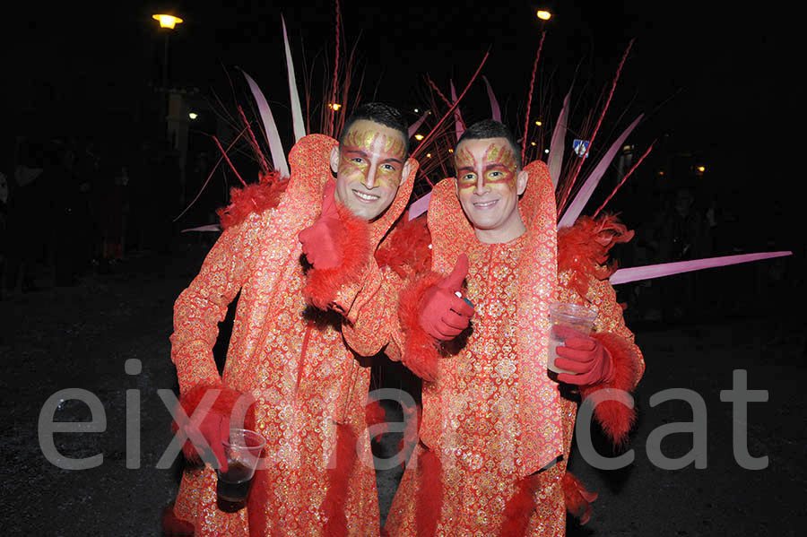 Rua del carnaval del Vendrell 2015. Rua del Carnaval del Vendrell 2015