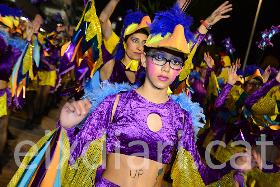 Carnaval de Calafell 2016. Rua del Carnaval de Calafell 2016 (II)