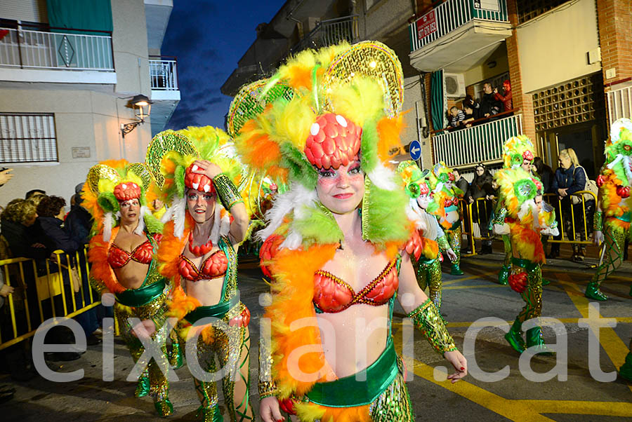 Carnaval de Cunit 2016. Rua del Carnaval de Cunit 2016 (I)