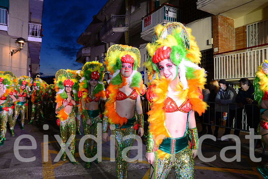 Carnaval de Cunit 2016. Rua del Carnaval de Cunit 2016 (I)