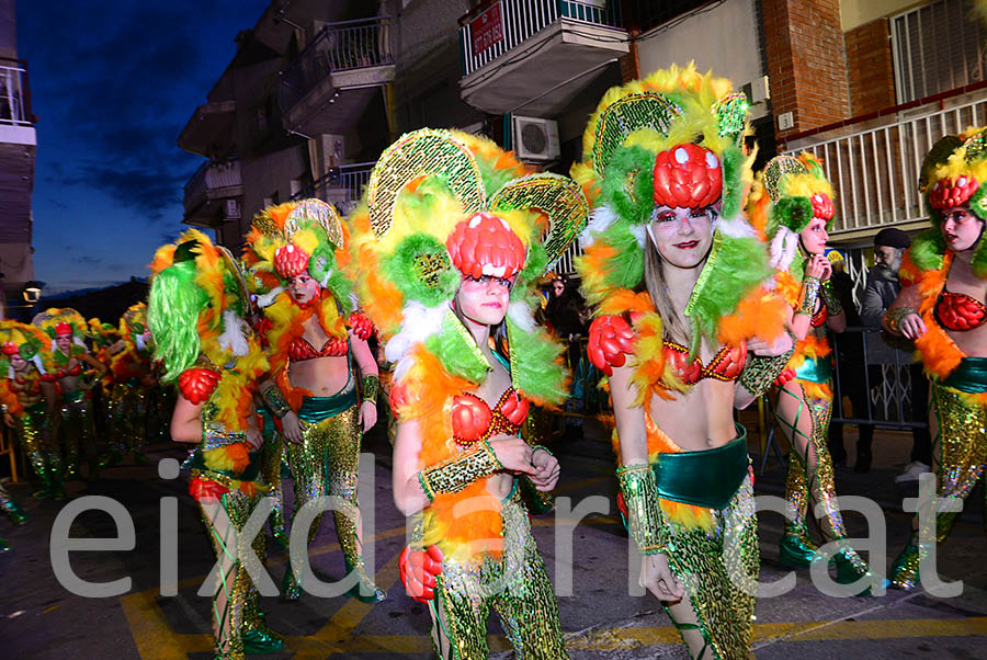 Carnaval de Cunit 2016. Rua del Carnaval de Cunit 2016 (I)