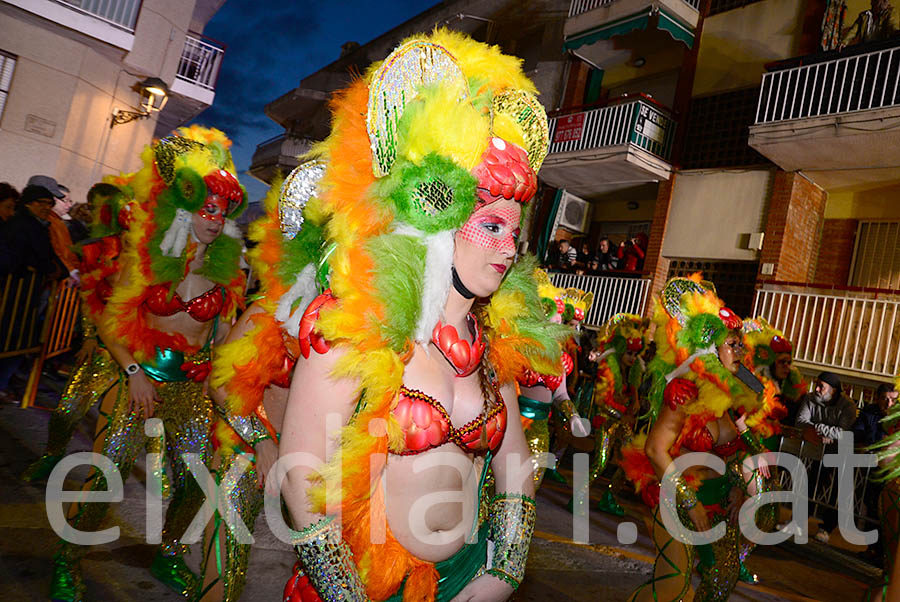 Carnaval de Cunit 2016. Rua del Carnaval de Cunit 2016 (I)