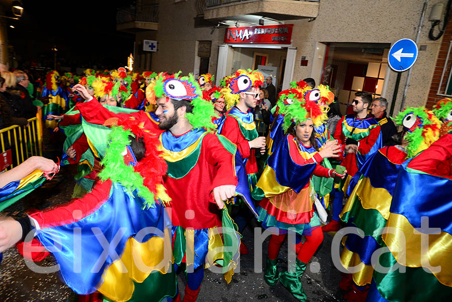 Carnaval de Cunit 2016. Rua del Carnaval de Cunit 2016 (III)