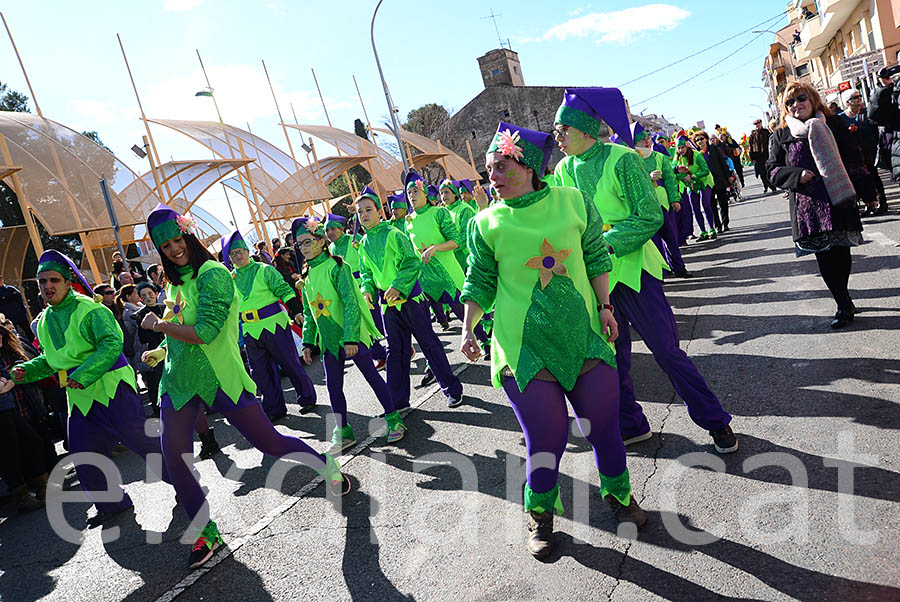 Carnaval de Santa Margarida i els Monjos 2016. Rua del Carnaval de Santa Margarida i els Monjos 2016