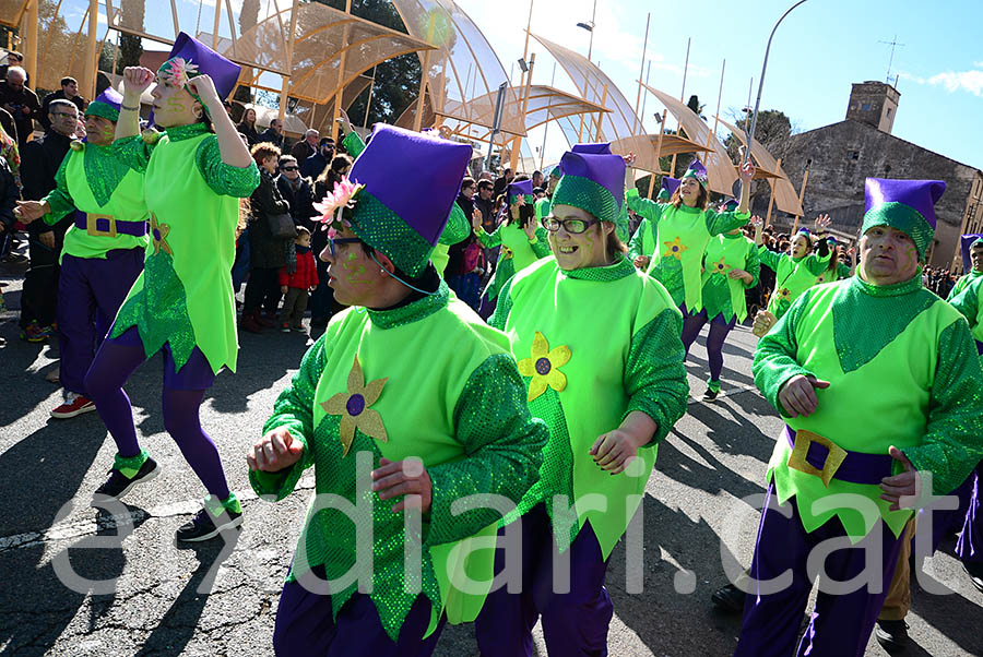 Carnaval de Santa Margarida i els Monjos 2016. Rua del Carnaval de Santa Margarida i els Monjos 2016