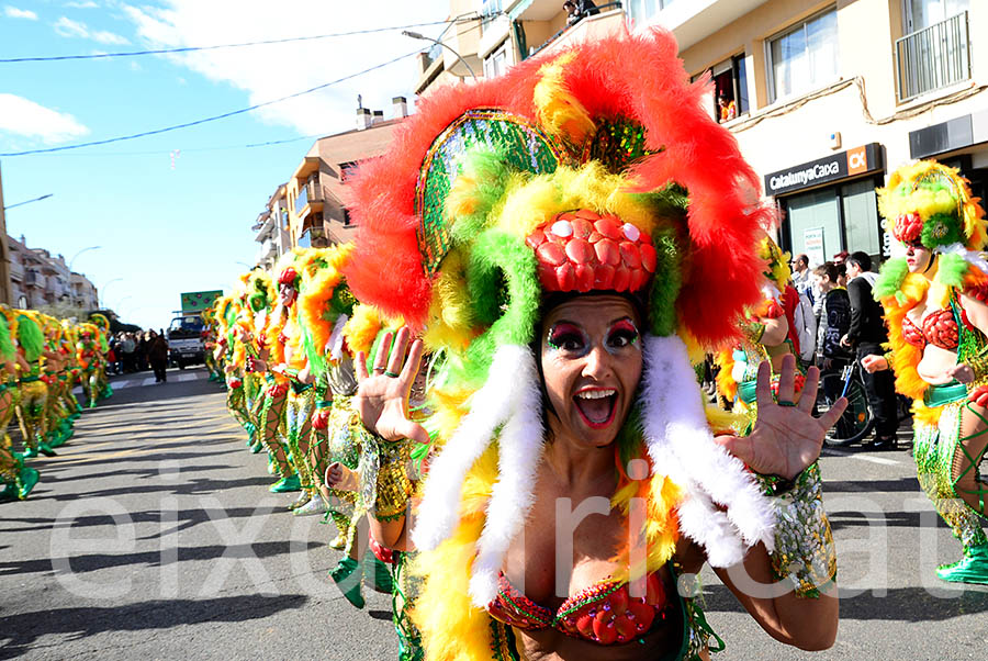 Carnaval de Santa Margarida i els Monjos 2016. Rua del Carnaval de Santa Margarida i els Monjos 2016