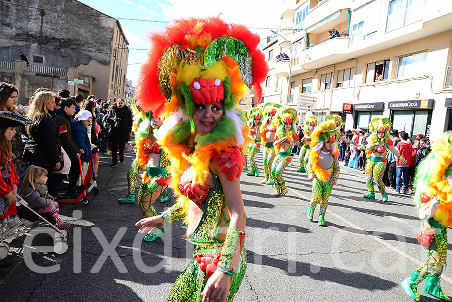 Carnaval de Santa Margarida i els Monjos 2016. Rua del Carnaval de Santa Margarida i els Monjos 2016