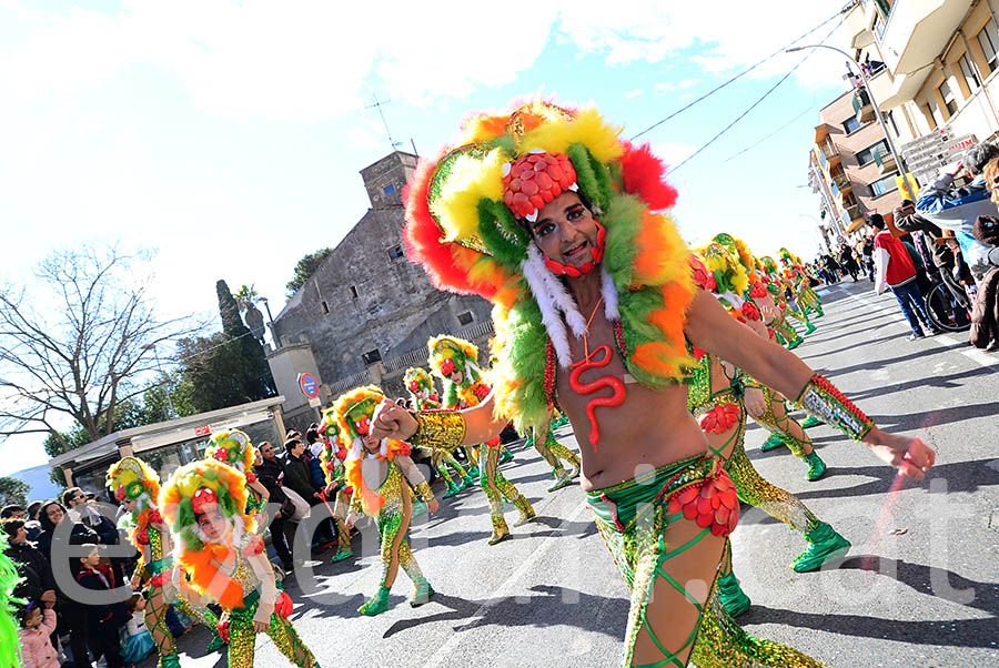 Carnaval de Santa Margarida i els Monjos 2016. Rua del Carnaval de Santa Margarida i els Monjos 2016