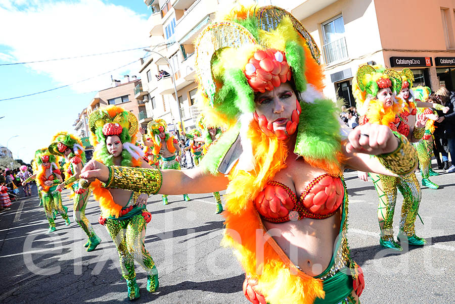 Carnaval de Santa Margarida i els Monjos 2016. Rua del Carnaval de Santa Margarida i els Monjos 2016