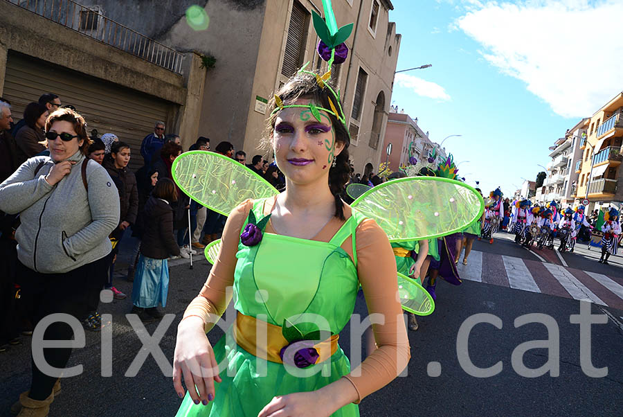 Carnaval de Santa Margarida i els Monjos 2016. Rua del Carnaval de Santa Margarida i els Monjos 2016