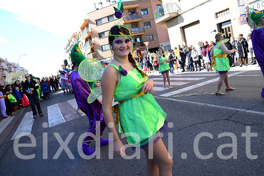 Carnaval de Santa Margarida i els Monjos 2016. Rua del Carnaval de Santa Margarida i els Monjos 2016